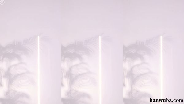 260629-leelate (1)
