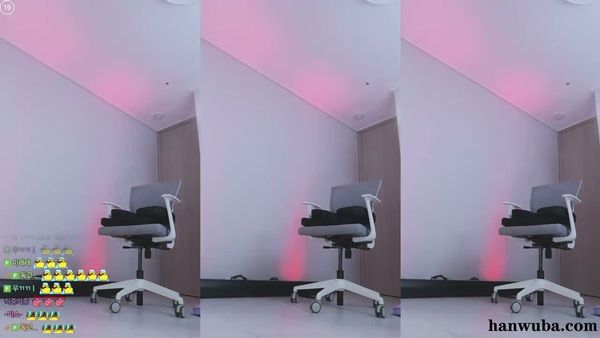 260818贝卡 (7)