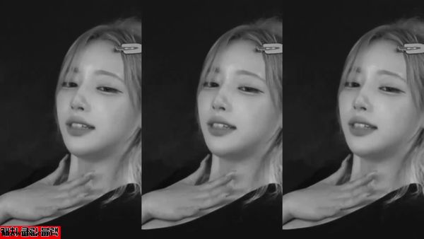 260828渝姜